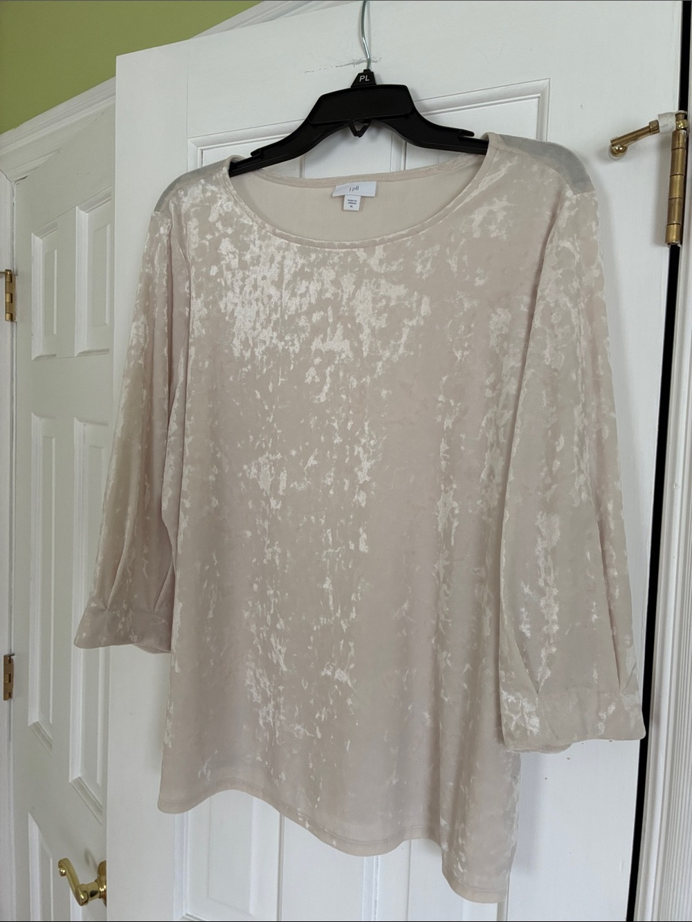 Light Beige Crushed Velvet Scoop Neck Top - Picture 6 of 6